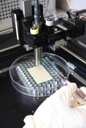 Automated X/Y Tissue Scanning System